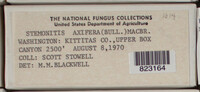 Image Associated With the Occurence